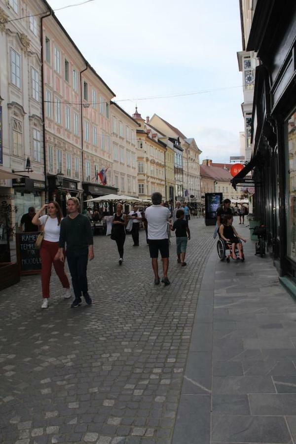 Lovely Old City-Center Apartment Ljubljana Exteriör bild