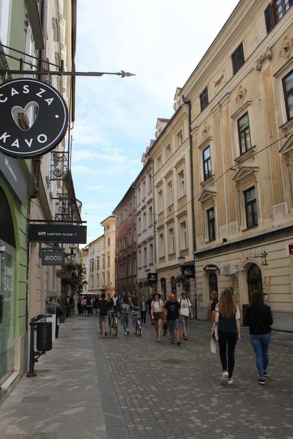 Lovely Old City-Center Apartment Ljubljana Exteriör bild